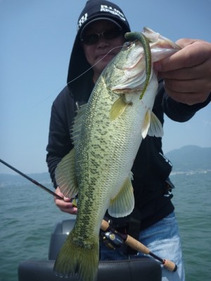 truth news ブログ写真 2012/05/27