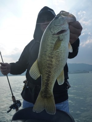 truth news ブログ写真 2012/05/27