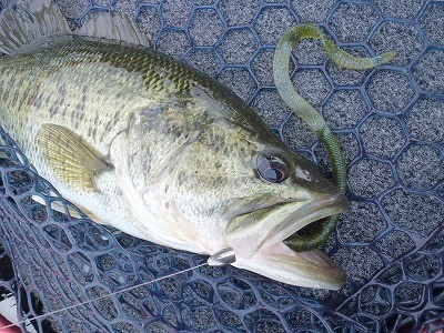 truth news ブログ写真 2012/06/01