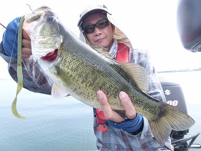 truth news ブログ写真 2012/06/01