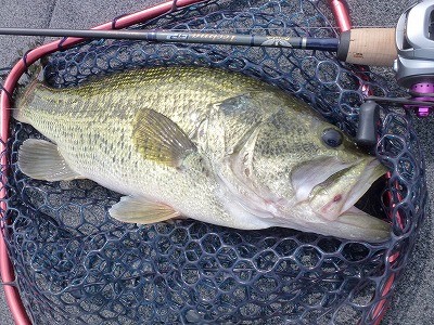 truth news ブログ写真 2012/06/01