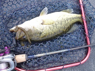 truth news ブログ写真 2012/06/01