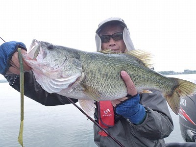 truth news ブログ写真 2012/06/01