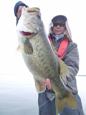 truth news ブログ写真 2012/06/01