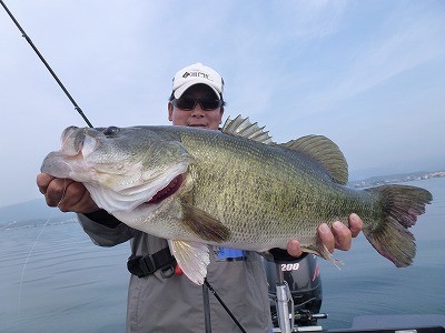 truth news ブログ写真 2012/06/01