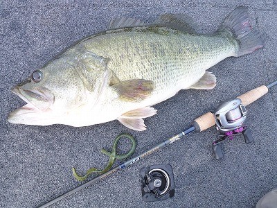 truth news ブログ写真 2012/06/01