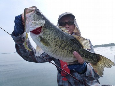 truth news ブログ写真 2012/06/01