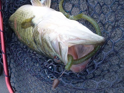 truth news ブログ写真 2012/06/01