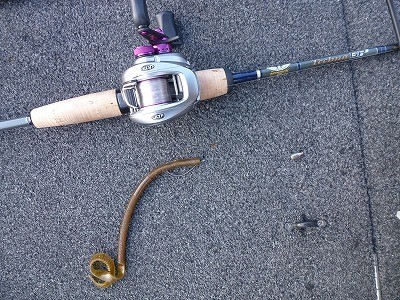 truth news ブログ写真 2012/06/02