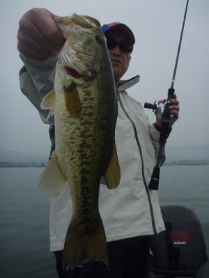 truth news ブログ写真 2012/06/02