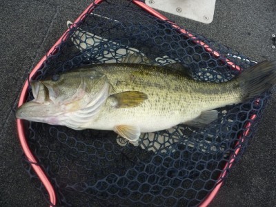 truth news ブログ写真 2012/06/02