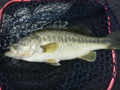 truth news ブログ写真 2012/06/02