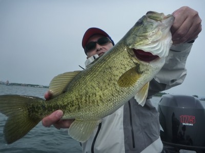 truth news ブログ写真 2012/06/02