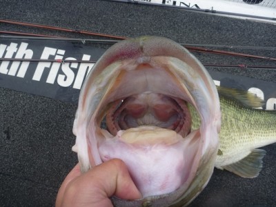 truth news ブログ写真 2012/06/02