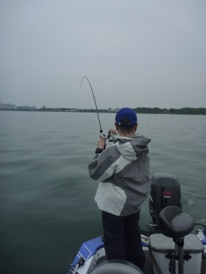 truth news ブログ写真 2012/06/02