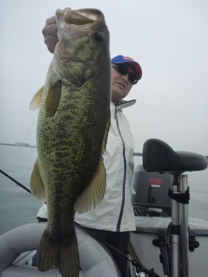 truth news ブログ写真 2012/06/02