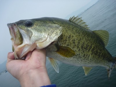 truth news ブログ写真 2012/06/02