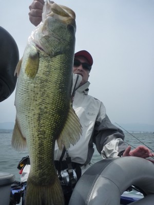 truth news ブログ写真 2012/06/02