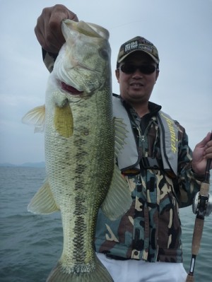 truth news ブログ写真 2012/06/03