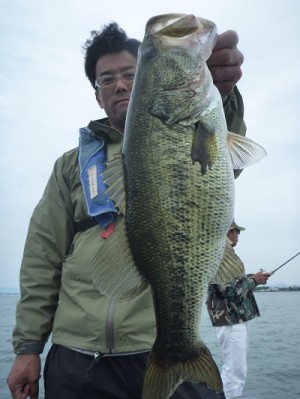 truth news ブログ写真 2012/06/03