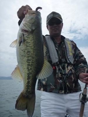 truth news ブログ写真 2012/06/03