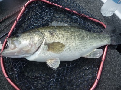 truth news ブログ写真 2012/06/03