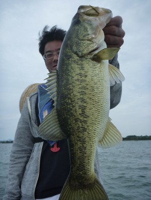 truth news ブログ写真 2012/06/03