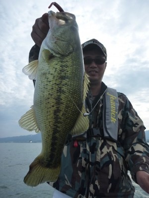 truth news ブログ写真 2012/06/03