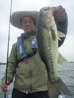 truth news ブログ写真 2012/06/03