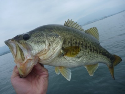 truth news ブログ写真 2012/06/03