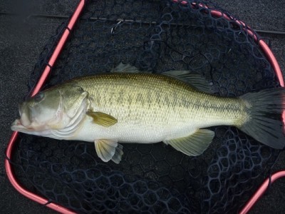 truth news ブログ写真 2012/06/03