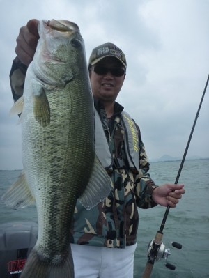 truth news ブログ写真 2012/06/03