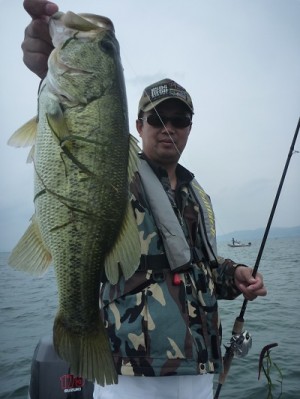 truth news ブログ写真 2012/06/03