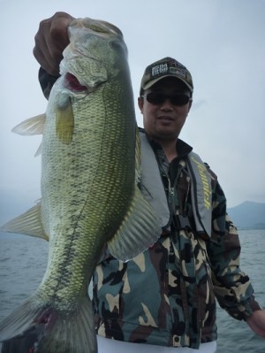 truth news ブログ写真 2012/06/03