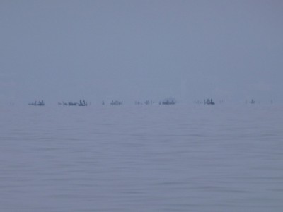 truth news ブログ写真 2012/06/03