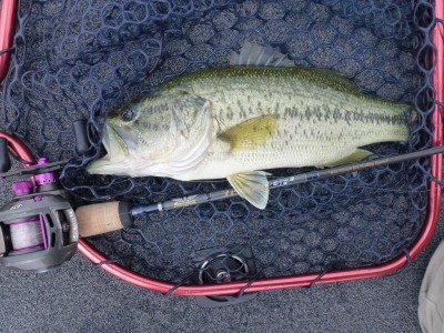 truth news ブログ写真 2012/06/03