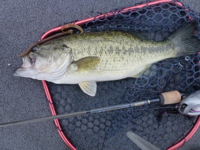 truth news ブログ写真 2012/06/03