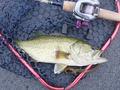 truth news ブログ写真 2012/06/03