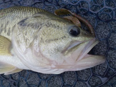 truth news ブログ写真 2012/06/03