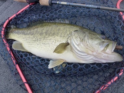 truth news ブログ写真 2012/06/03