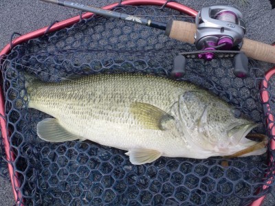 truth news ブログ写真 2012/06/03