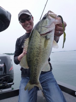 truth news ブログ写真 2012/06/03