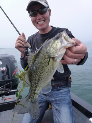 truth news ブログ写真 2012/06/03