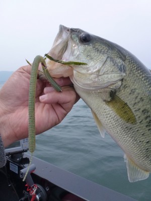 truth news ブログ写真 2012/06/03