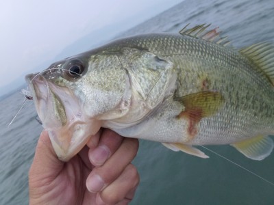 truth news ブログ写真 2012/06/03