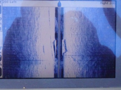 truth news ブログ写真 2012/06/06