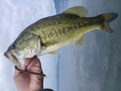 truth news ブログ写真 2012/06/06