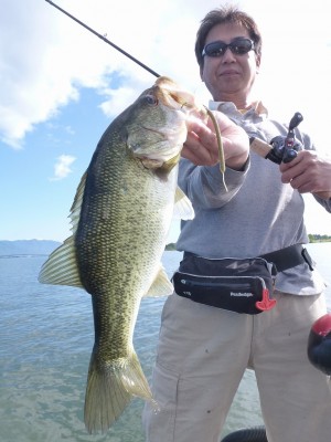 truth news ブログ写真 2012/06/06