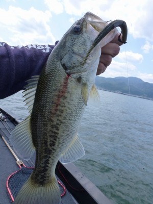 truth news ブログ写真 2012/06/06