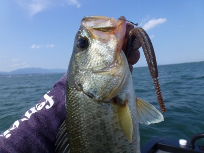 truth news ブログ写真 2012/06/06